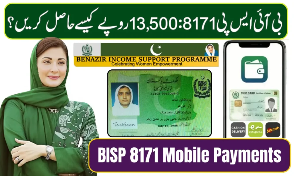 Current image: BISP 8171 Mobile Payments