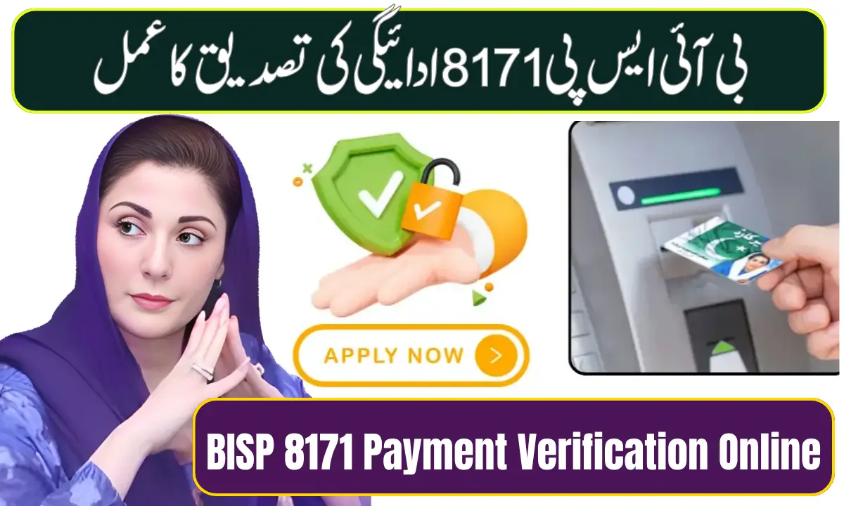 BISP 8171 Payment Verification Online