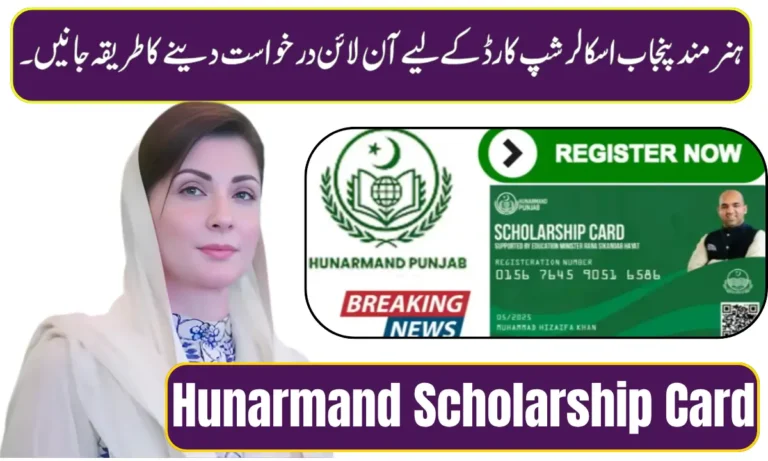 CM Punjab Hunarmand Scholarship Card