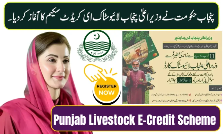 CM Punjab Livestock E-Credit Scheme