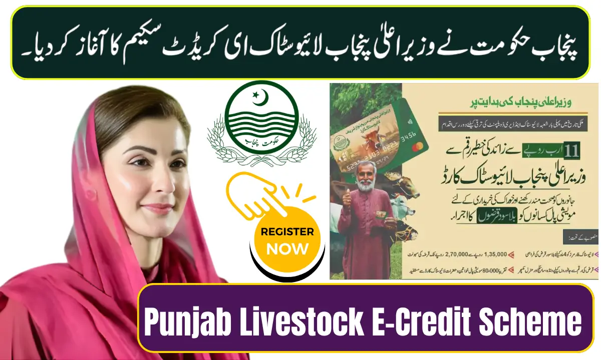 CM Punjab Livestock E-Credit Scheme
