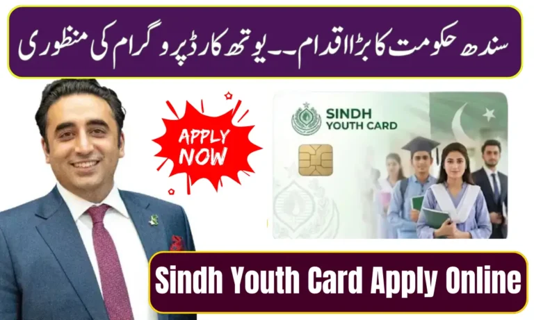 Sindh Youth Card Apply Online