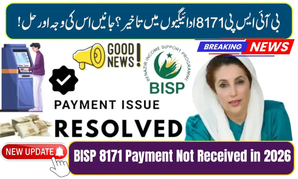 Current image: BISP 8171 Payment Not Received in 2026